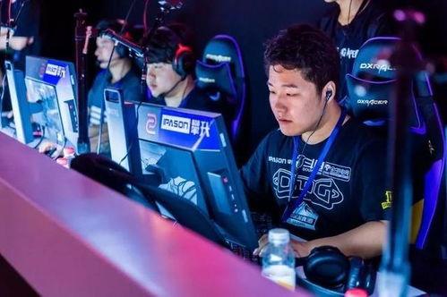 爆料小智赶海视频大全,探寻海洋宝藏的欢乐时光