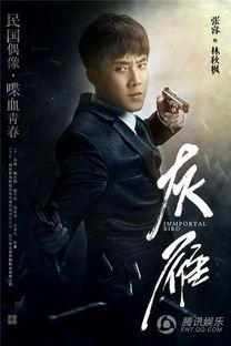 灰雁电视剧在线观看,揭秘神秘组织背后的爱恨情仇 第1张 灰雁电视剧在线观看,揭秘神秘组织背后的爱恨情仇 第1张