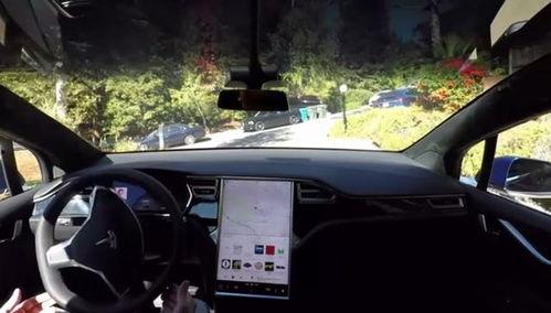 特斯拉爆料小鱼视频播放,小鱼视频播放背后的秘密大揭秘  第2张