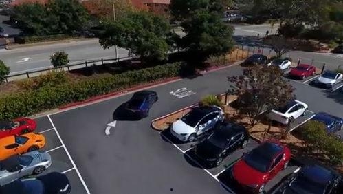 特斯拉爆料小鱼视频播放,小鱼视频播放背后的秘密大揭秘  第3张